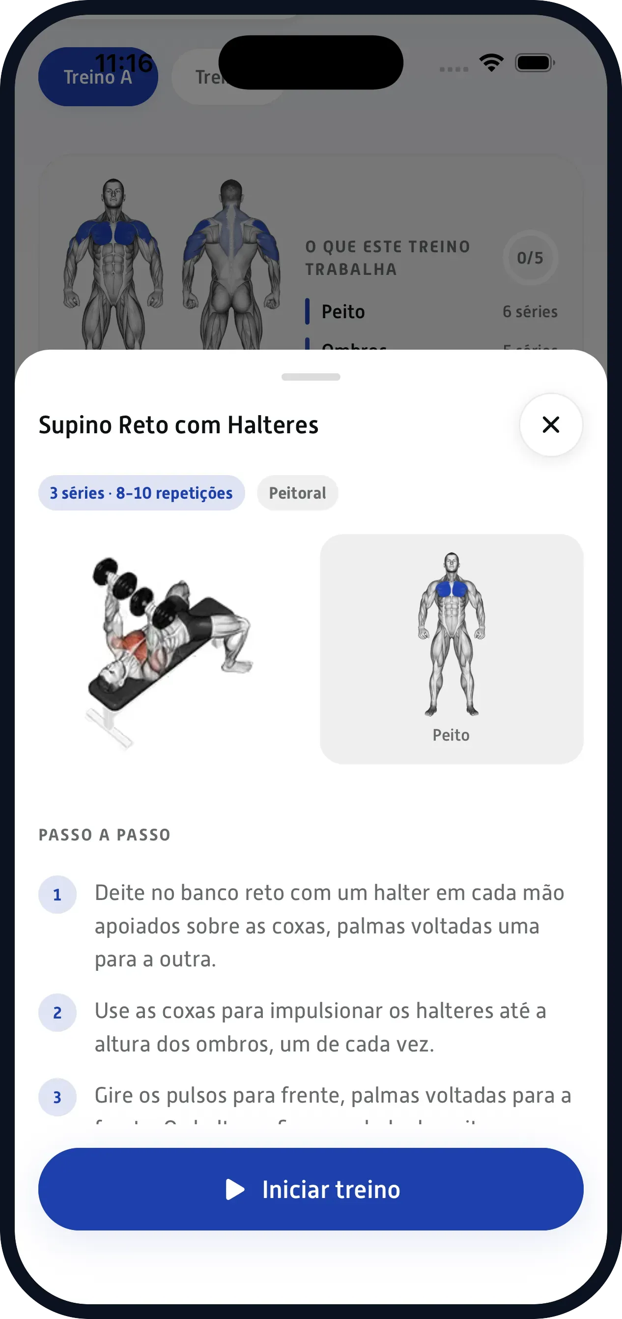 Execução sem dúvida. Vídeo, passo a passo e os erros comuns de cada exercício.